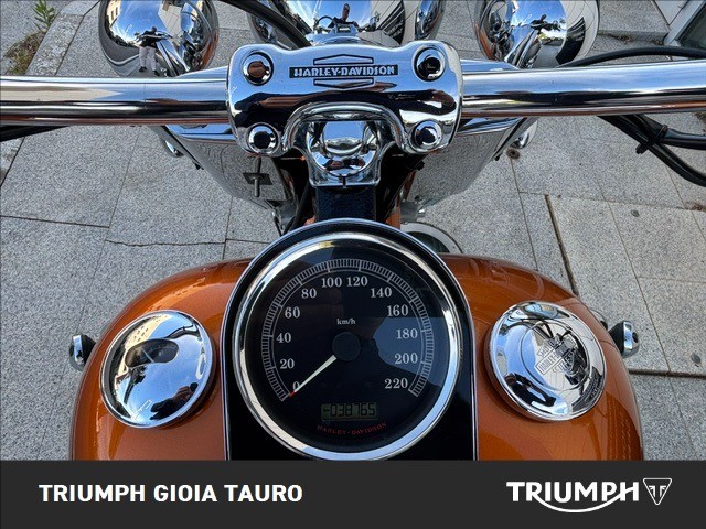 HARLEY-DAVIDSON Softail 1690 Deluxe 